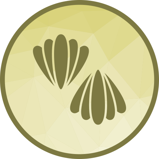 Mollusque